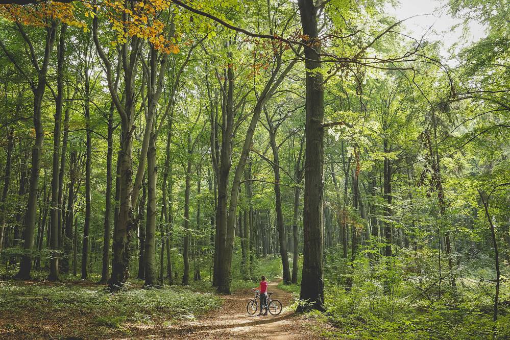 Śląskie Was zaskoczy